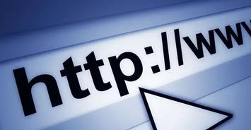 金華網(wǎng)絡(luò)公司 網(wǎng)站建設(shè)與全網(wǎng)營銷系統(tǒng)技術(shù)推廣指南